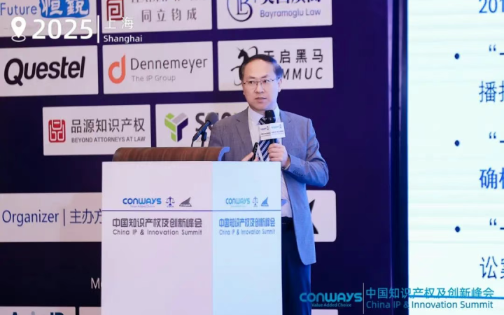 三聚陽光總裁張建綱出席CIPIS上海站 暢談專利訴訟應(yīng)訴策略與實(shí)踐